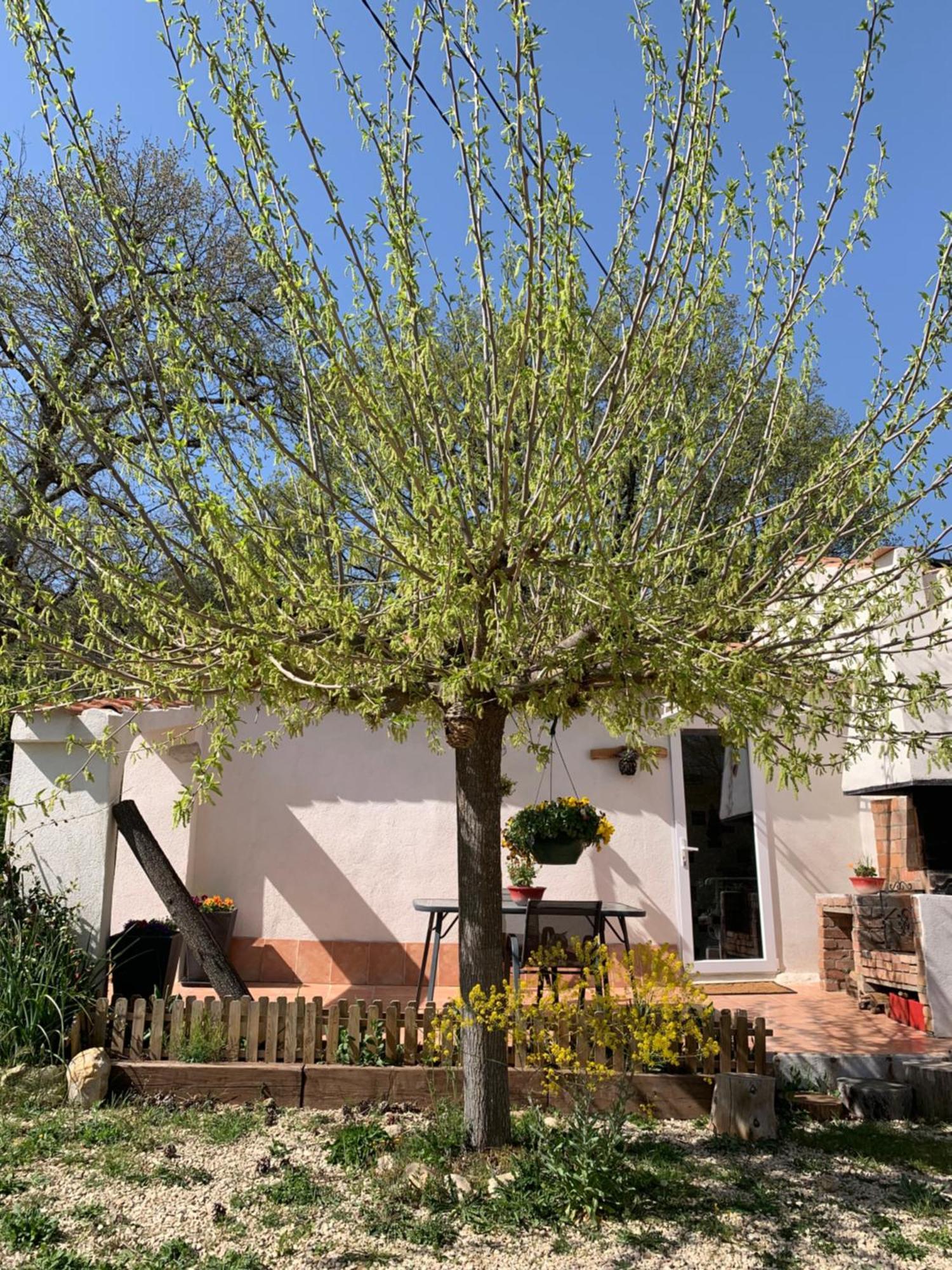 Sous Les Chenes Hotel Saint-Martin-de-Brômes Eksteriør billede